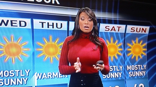 weather channel anchors. News Anchors Distract Male